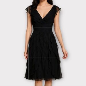 Tadashi Collection Womens Dress Size 4 Formal 100% Silk Chiffon Whimsigoth